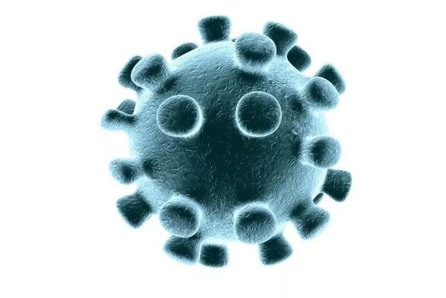 转：如何预防新型冠状病毒感染？这 8 点你应该知道-小姚工作室